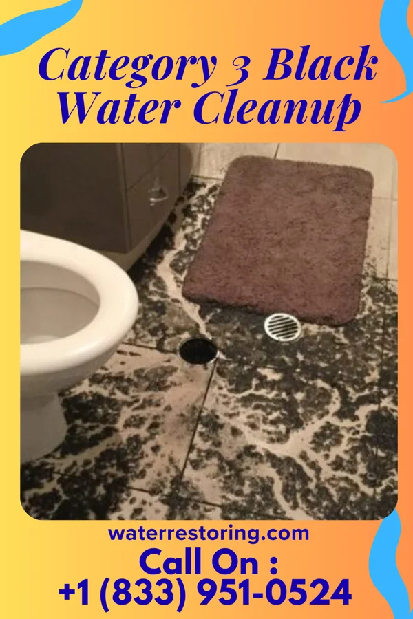 Category 3 Black Water Cleanup in Kendrick, ID